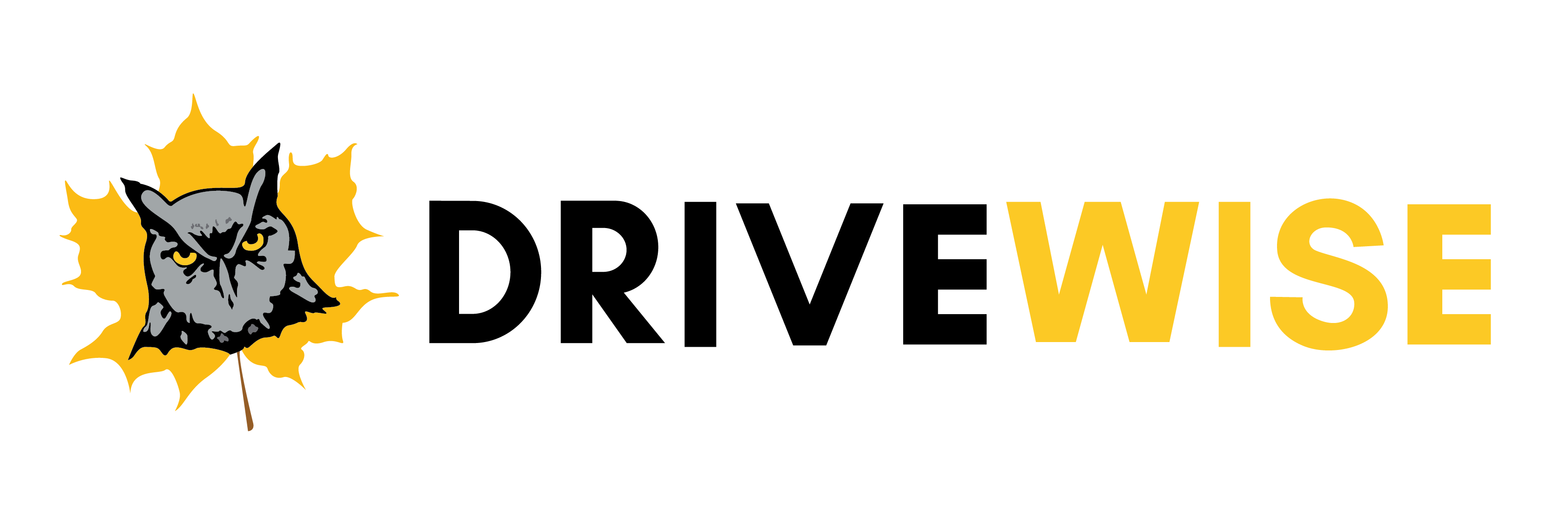 ONDrivewiseSaug260415
